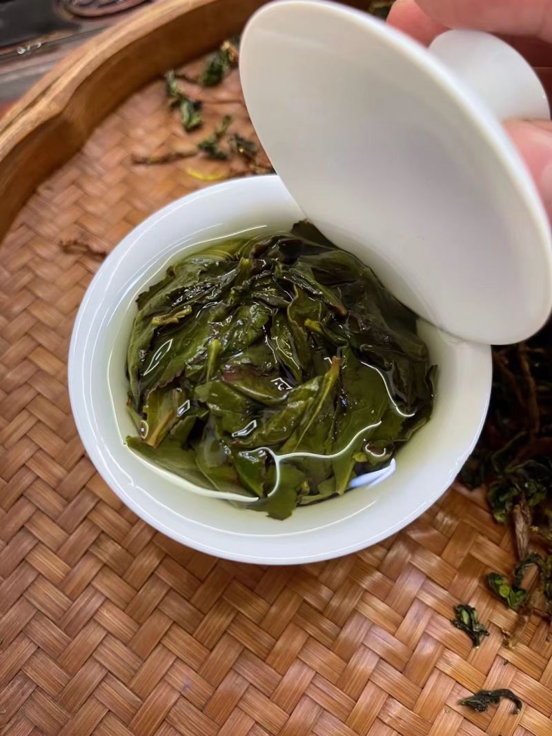 预售正宗福建安溪铁观音（春茶），可代收购毛茶