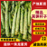 云南莴笋杆子精品杆子基地直发可视频看货保质量