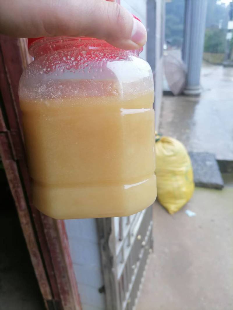 江西油菜花蜂蜜，甜而不腻，产地直发，量大价优