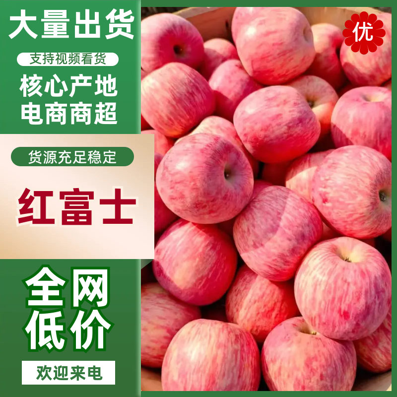 山东红富士苹果色泽亮丽，脆甜多汁，条红片红都有，冷库直供