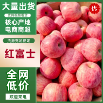 山东沂蒙山红富士苹果，口感佳，脆甜香，质细汁多，基地直发