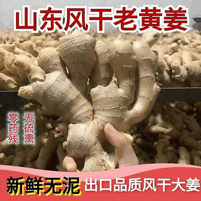 【山东老姜】产地批发/常年供应/质量保证/可常年供应