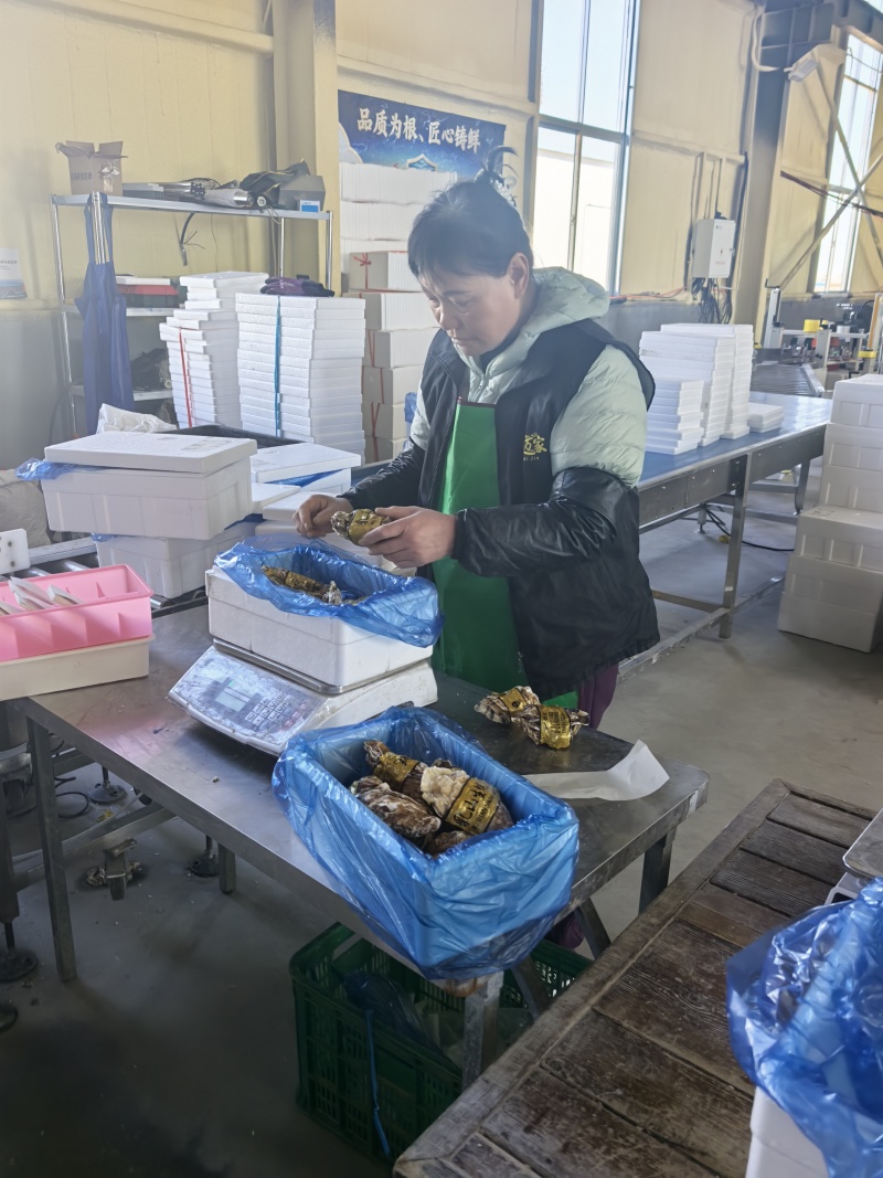 乳山生蚝生蚝一件代发乳山批发精品1+到5+