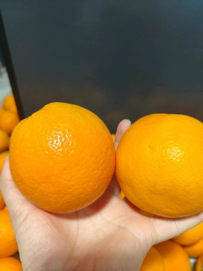 重庆开州精品橙子/伦晚脐橙/产地直发诚信经营靠谱代办代发