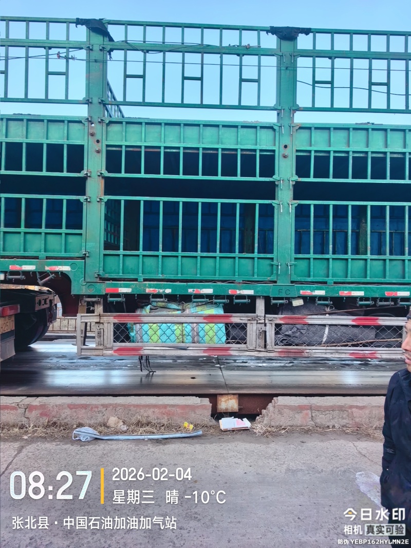 活牛【精品小公牛】可长期供货代收代发欢迎电话咨询