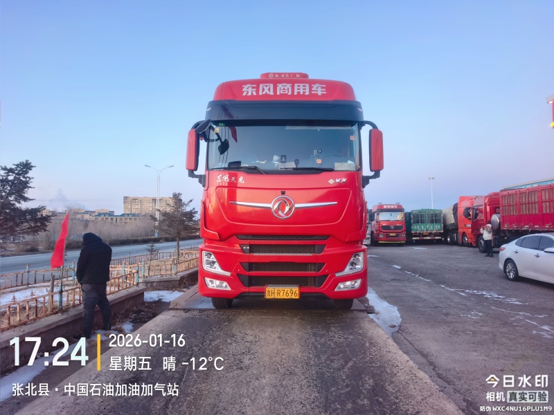 活牛【精品育肥架子牛】可长期供应，大量供货，欢迎电话咨询