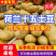 山东土豆批发【荷兰/沃土/V7】规格齐全/全国发货