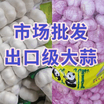 【紫皮/白皮大蒜】山东大蒜/供市场～电商～出口/全国发货
