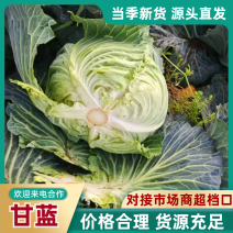 【实力】四川德阳精品扁包菜代发全国货源充足质优