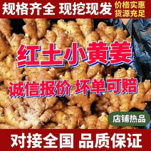 贵州红土小黄姜【大黄二黄】加工厂电商/全国发货