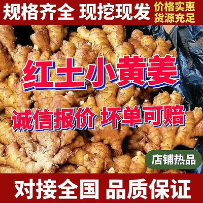 贵州红土小黄姜【大黄二黄】加工厂电商/全国发货