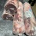 内蒙古精品羊肉羔羊肉卷/工厂直发/量大从优/诚信经营