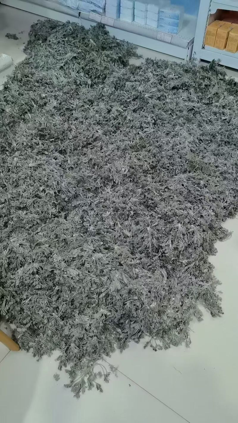 新鲜茵陈，产地发货，价格优，量大可沟通欢迎客商前来采购！