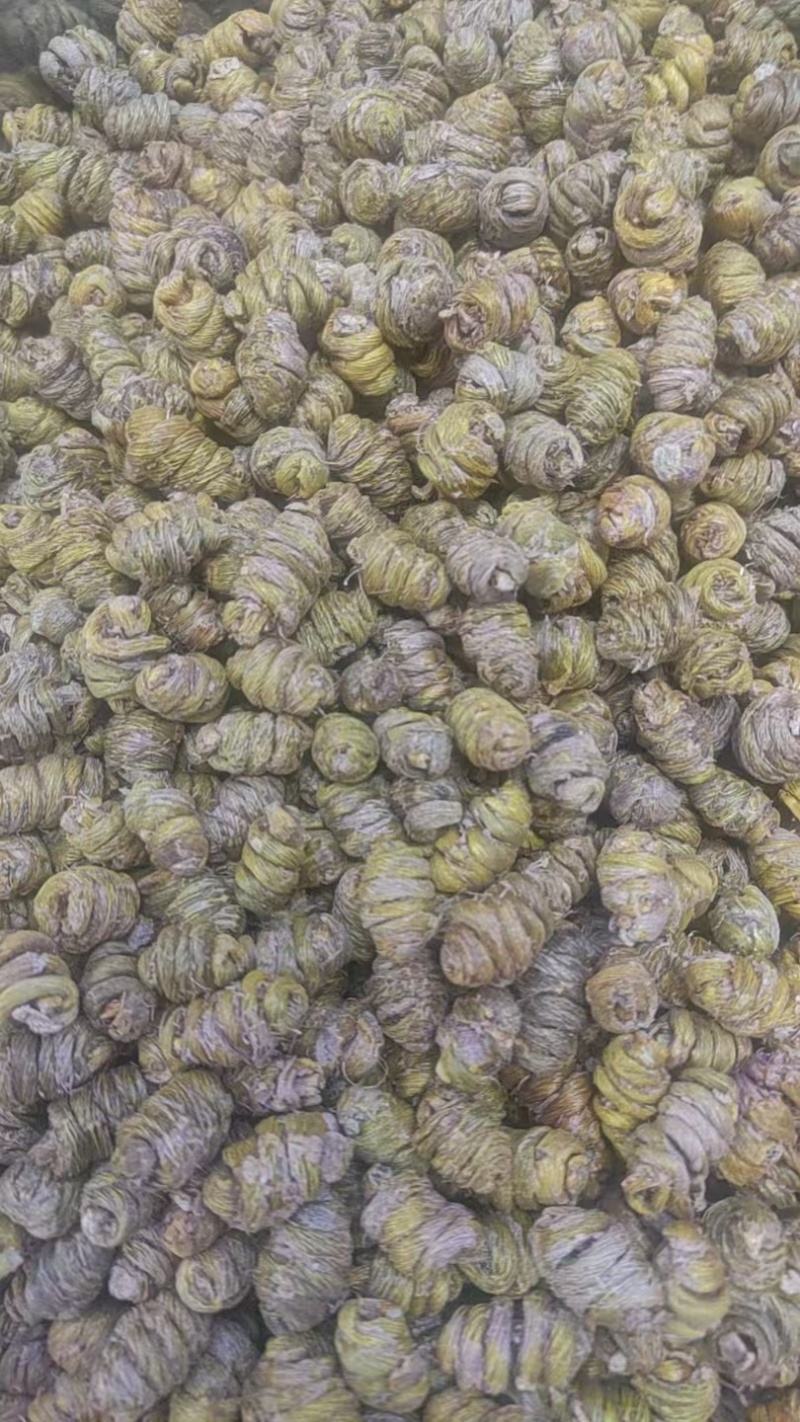 铁皮石斛粗条大量供货价格优惠调整来电