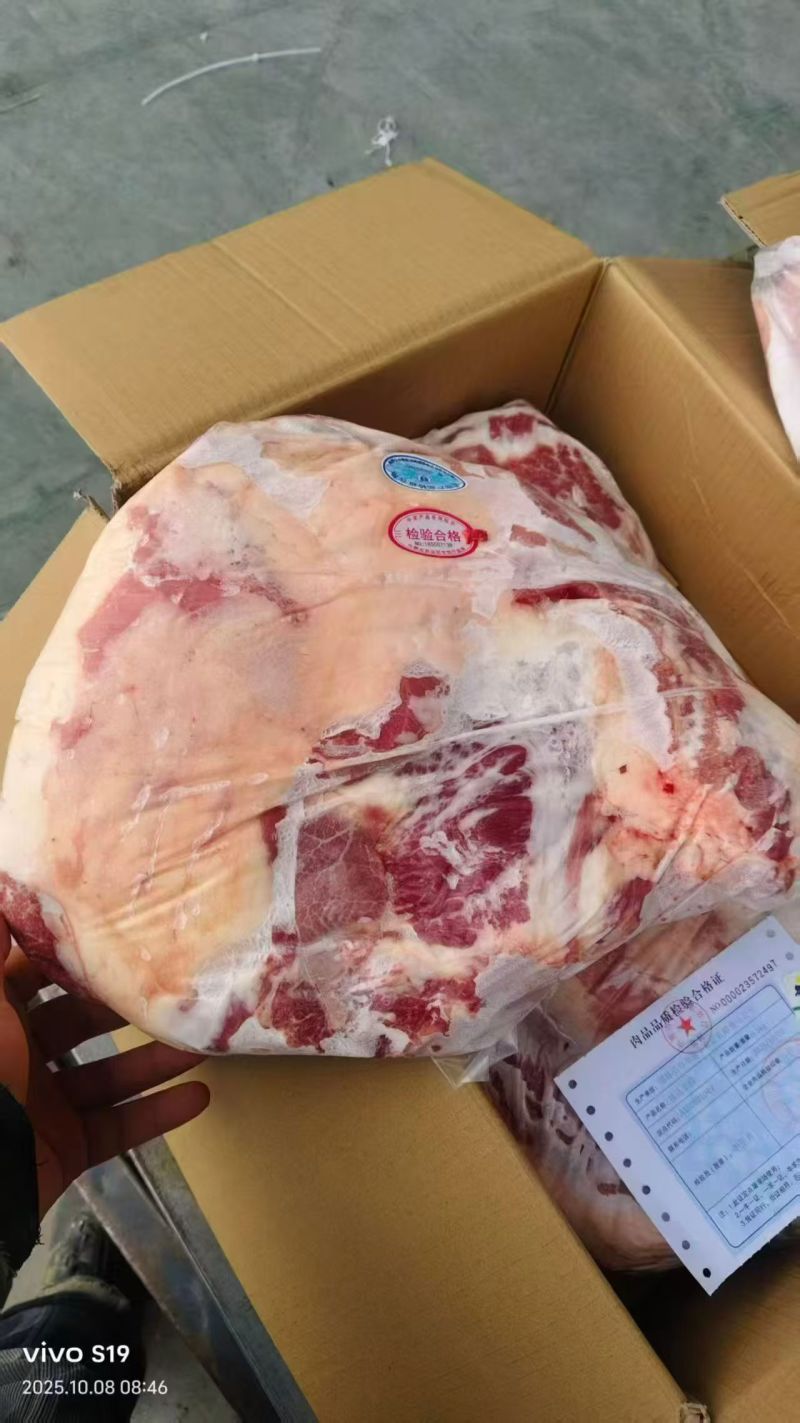 内蒙古精品羊副产品羊排/诚信经营/量大从优/工厂直发