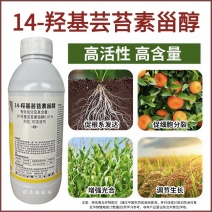 芸苔素14羟基芸苔素甾醇促进根系发达促吸收植物生长调节剂