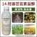芸苔素14羟基芸苔素甾醇促进根系发达促吸收植物生长调节剂