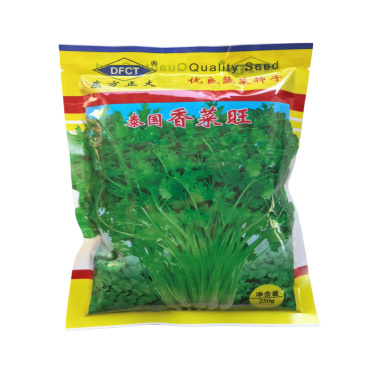 泰国香菜旺香菜种子进口耐热抗抽苔高产东方正大