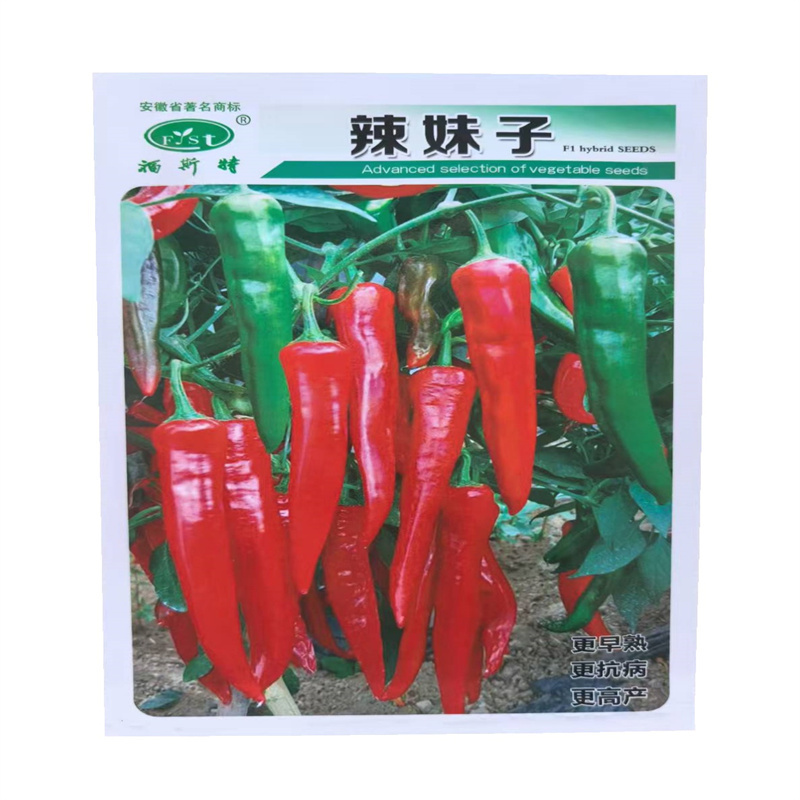 辣妹子辣椒种子早熟尖椒种子皮薄质脆辣香味浓高产