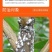 斩腊介33%螺虫噻嗪酮杀虫剂柑橘蚧壳虫专用药螺虫乙酯噻嗪