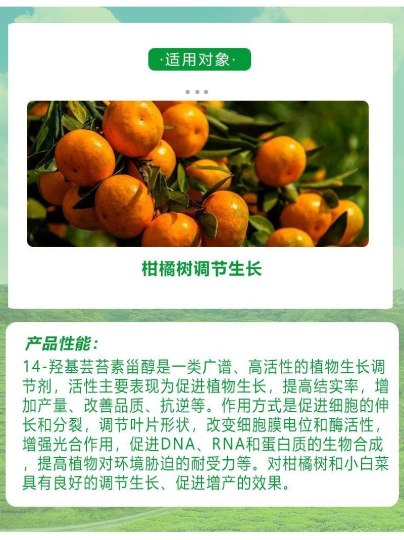 奥植丰14羟基芸苔素甾醇生根壮苗促花促果缓解药害植物生长