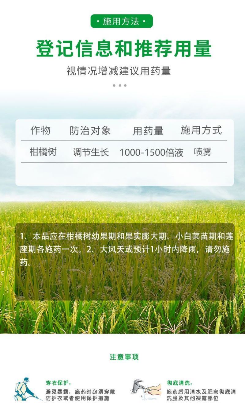 奥植丰14羟基芸苔素甾醇生根壮苗促花促果缓解药害植物生长