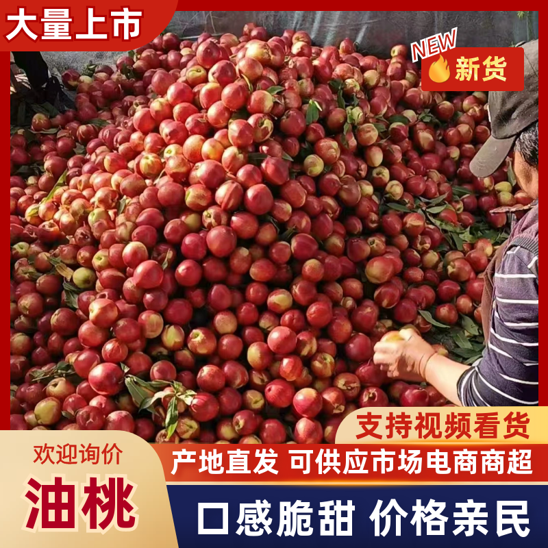 油桃山西油桃产地一手货源，规格齐全，品质保证对接市场批发