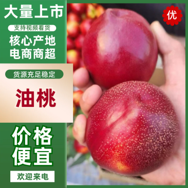 山西大油桃，对标农户，直接从农户手中看货收购