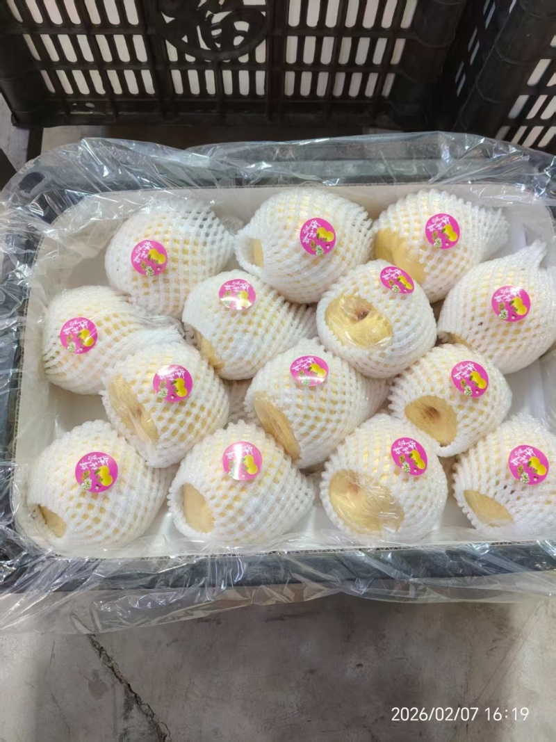 山西晋中酥梨对接超市电商批发市场等保质保量童叟无欺