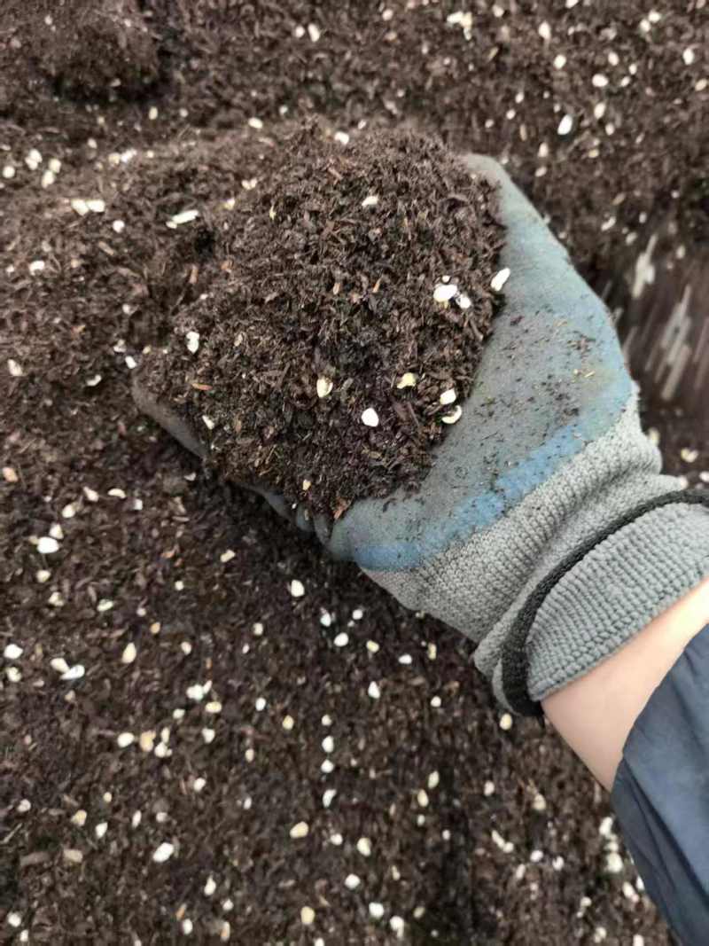 微湖丰有机营养土厂家直发保质保量助力植物成长