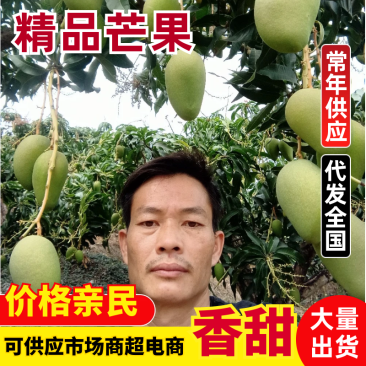 精品小台、中台、大台芒果货源充足质量保证欢迎咨询