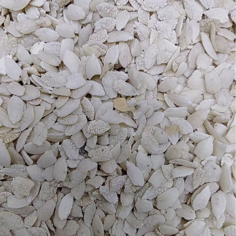 鱼脑石鱼枕骨石首骨中药材鱼脑石各种药材大货批发