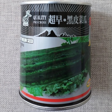 黑皮菜瓜种子墨绿皮口感酥脆早熟黑皮棱子酥种籽大棚露地菜瓜