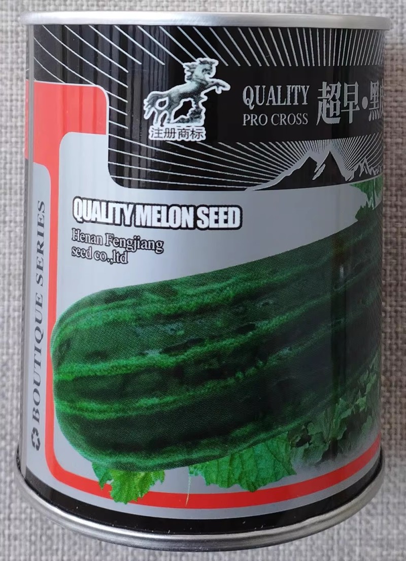 黑皮菜瓜种子墨绿皮口感酥脆早熟黑皮棱子酥种籽大棚露地菜瓜