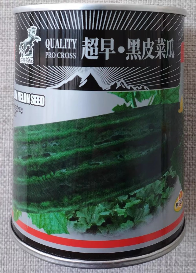 黑皮菜瓜种子墨绿皮口感酥脆早熟黑皮棱子酥种籽大棚露地菜瓜
