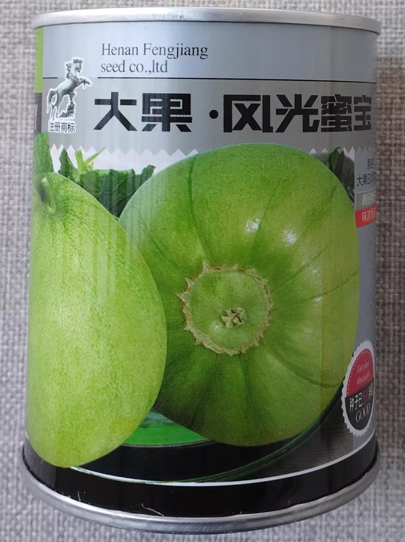 大果风光蜜宝甜瓜种子日本甜宝种籽香甜味浓高产优选香瓜种子