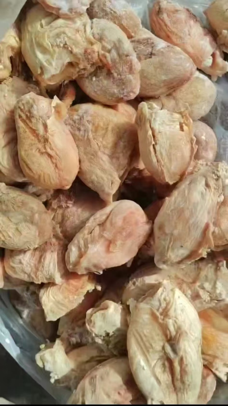 牛尿泡产地直发可以平替牛肚切丝后外观和口感和牛肚相似