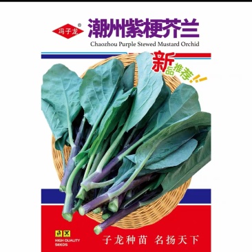 潮州紫梗芥兰种子高产红脚芥蓝种子红菜苔红菜心种子