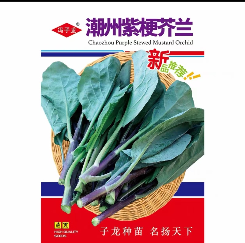 潮州紫梗芥兰种子高产红脚芥蓝种子红菜苔红菜心种子