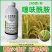 噻呋酰胺杀菌剂水稻纹枯病稻曲病白绢病叶斑病农用农药