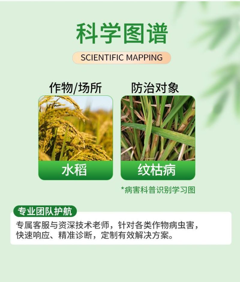 噻呋酰胺杀菌剂水稻纹枯病稻曲病白绢病叶斑病农用农药