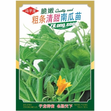 粗条清甜南瓜苗种子脆嫩粗条清甜南瓜尖苗种子茎叶质柔软清爽