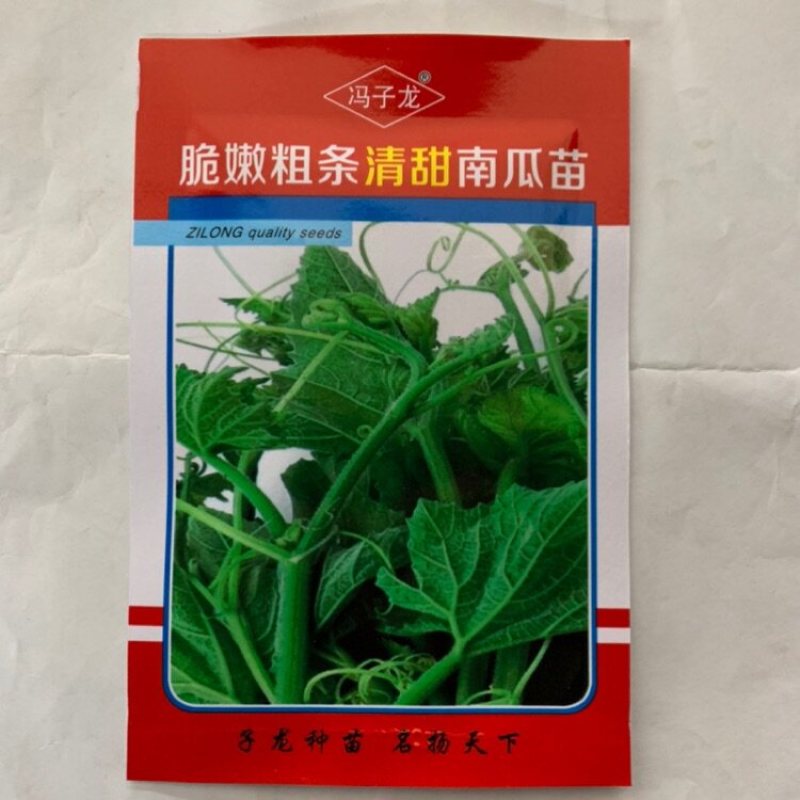 粗条清甜南瓜苗种子脆嫩粗条清甜南瓜尖苗种子茎叶质柔软清爽