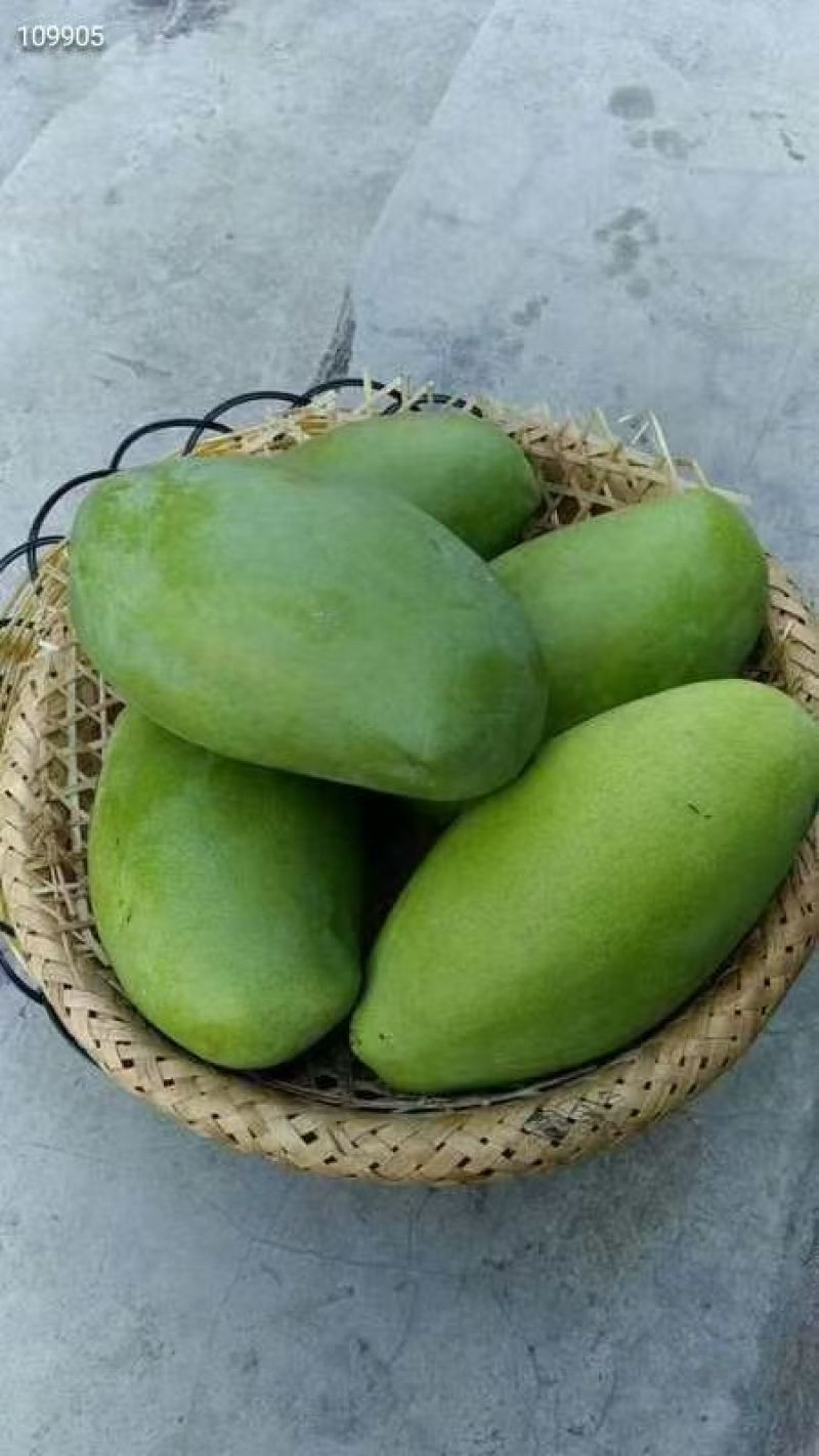 广西青芒果，单果1-2斤，三保供货，一件代发、整车批发