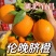 【伦晚脐橙】湖北伦晚春橙大量上市基地直发质量保证欢迎订购