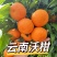 云南沃柑/基地直发【商超电商批发团购】可全国发货