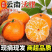 《沃柑》云南沃柑/基地现摘/现货直发/全国发货/上货中