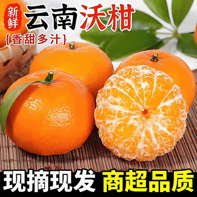 《沃柑》云南沃柑/基地现摘/现货直发/全国发货/上货中