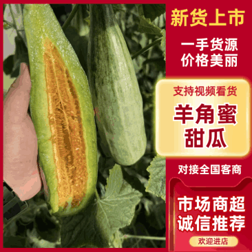 【羊角蜜甜瓜】山东羊角蜜/寿光甜瓜/电商团购一件批发