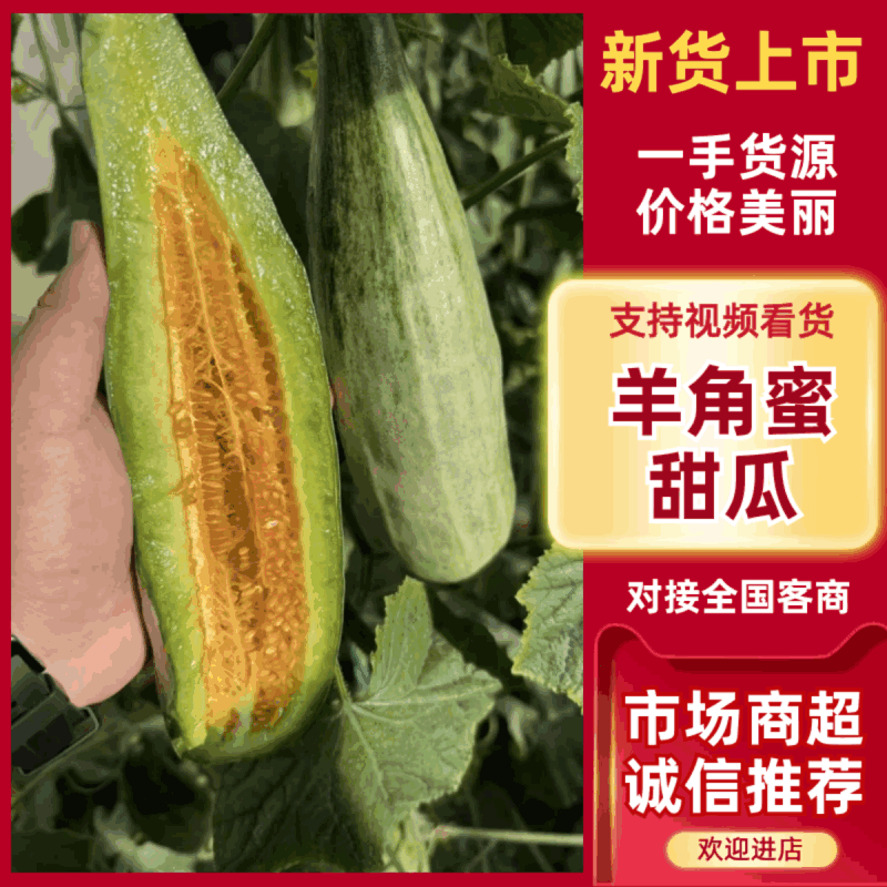 【羊角蜜甜瓜】山东羊角蜜/寿光甜瓜/电商团购一件批发